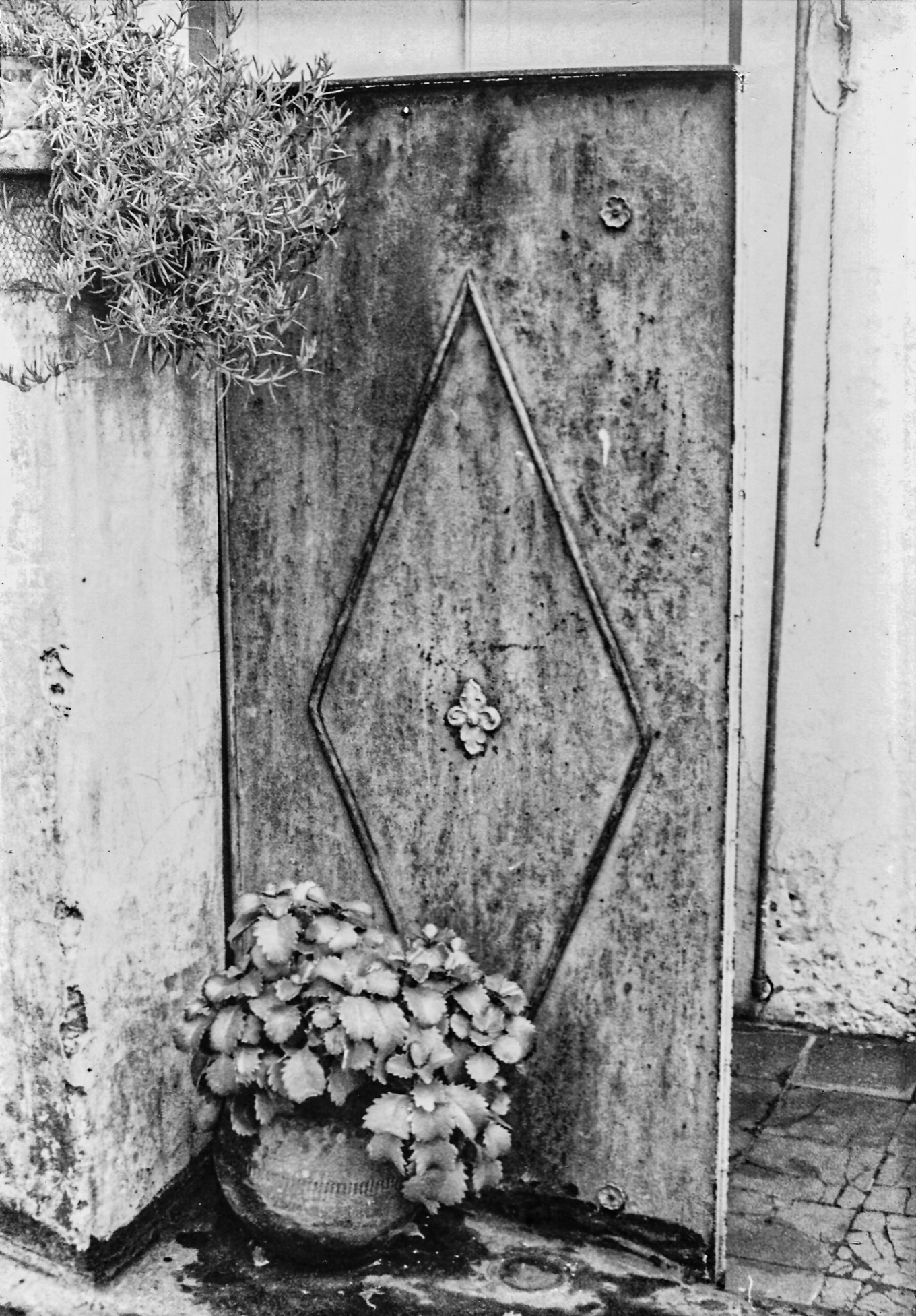 1985 patios primer piso